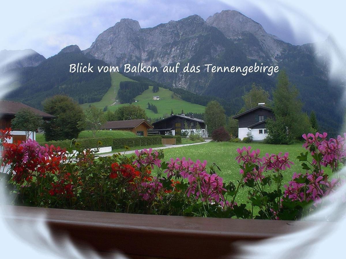 Apartment Dreier - Salzburger Land Abtenau Rom bilde